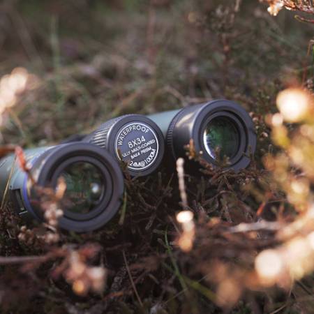 Focus Observer 8x34 HD - lornetka obserwacyjna, 8x, 34mm - zdjęcie przykładowe