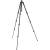 Manfrotto MTBFRTC4GTFB - statyw 4-sekcyjny Carbon z serii Befree GT PRO, 31-150cm, udźwig 12kg