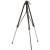 Manfrotto 058B - statyw Alu Triaut (44-217cm, udźwig 12kg, 3-sekcyjny) - po rozłożeniu