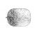 Quadralite 2w1 Silver-White - blenda owalna srebrno-biała, 120x180cm