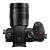 Panasonic GH5M2 + H-FS12060 - zestaw, aparat bezlusterkowy z obiektywem 12-60mm F2.8-4_4