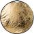SmallRig 4127 Collapsible Circular Reflector 22'' - blenda 5w1, 55cm, uchwyt