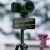 Ulanzi MT-63 (T028GBB1) - statyw 2w1 z głowicą kulową z uchwytem do smartfona (funkcja monopodu/selfie stick, udźwig 4kg, 26,5-145cm) - przykład użycia